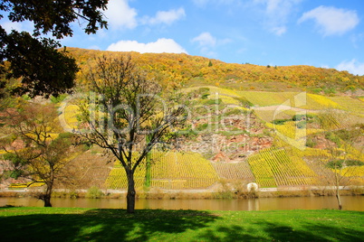 Weinlage Erdener Treppchen