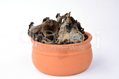 Craterellus cornucopioides in clay bowl