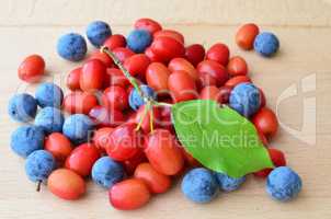 Cornelian cherries and sloes
