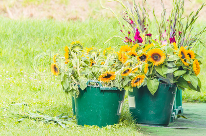 Sonnenblumen und Gladiolen