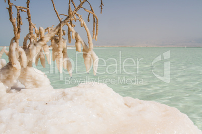 Beautiful coast of the Dead Sea .