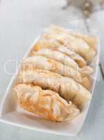 Asian food pan fried dumplings