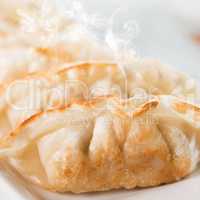 Close up Asian gourmet fried dumplings