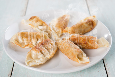 Asian meal pan fried dumplings