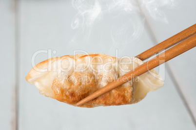 Asian cuisine pan fried dumplings