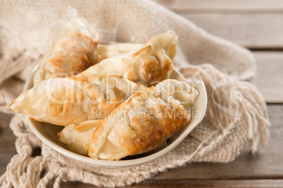 Famous Asian food pan fried dumplings