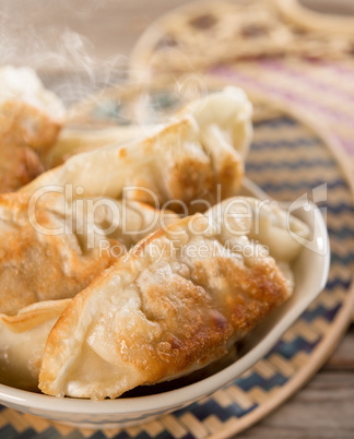 Famous Asian cuisine pan fried dumplings