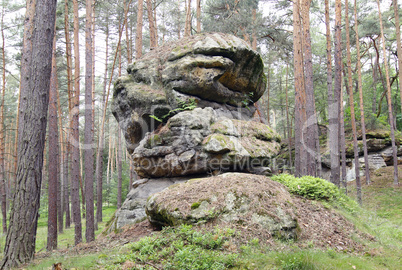 Rock Formation In The Forest