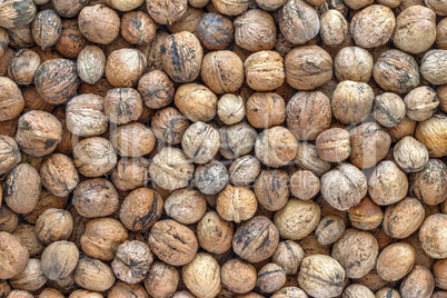 walnuts