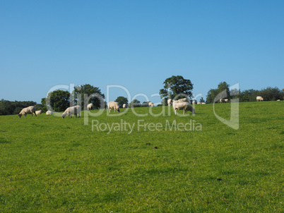 View of Tanworth in Arden