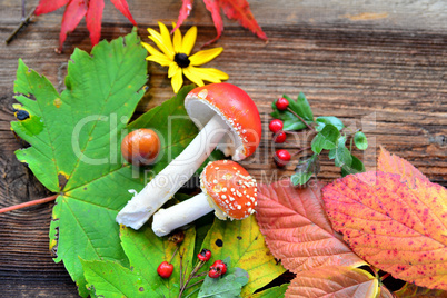 Herbst Hintergrund