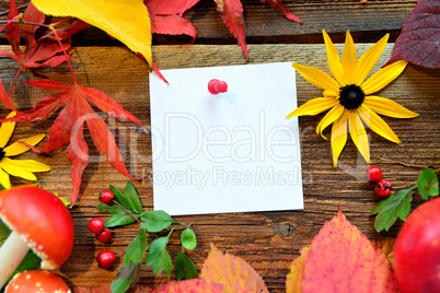 Herbst Hintergrund Blatt papier