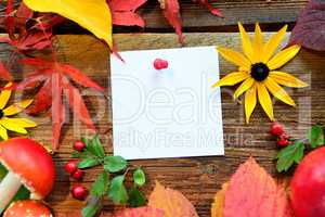 Herbst Hintergrund Blatt papier