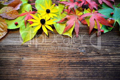 Herbst Holz Hintergrund