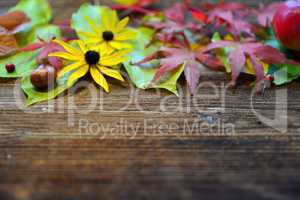 Herbst Holz Hintergrund