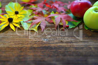 Herbst Hintergrund