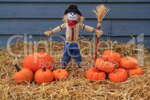 Pumpkins, Thanksgiving and Scarecrow