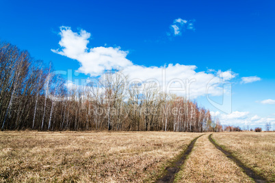 Beautiful rural landscape