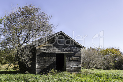 Old Abandoned Chicken Coop - Open Door