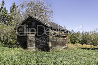 Old Abandoned Chicken Coop