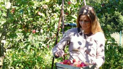 woman sitting on a ladder and eat an apple