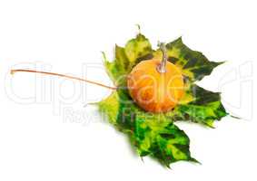Small decorative pumpkin on multicolor maple-leaf