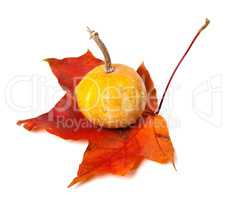 Decorative small pumpkin on dried autumn maple-leaf