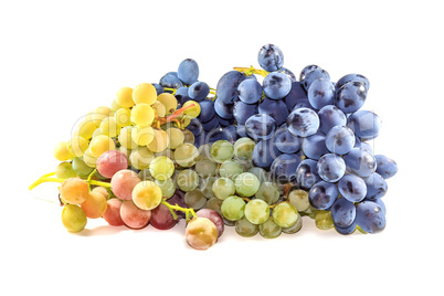 Bunches of ripe grapes