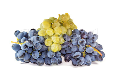 Bunches of ripe grapes