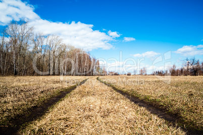 Beautiful rural landscape