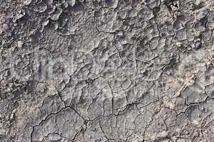 Dried cracked soil