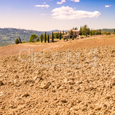 Fields in Tuscany