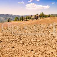 Fields in Tuscany