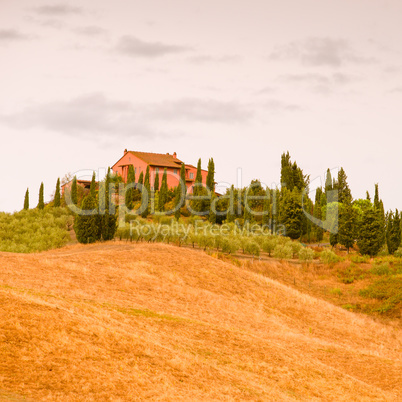 Fields in Tuscany