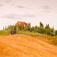 Fields in Tuscany