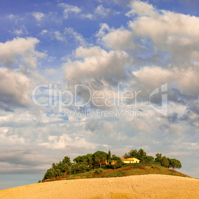 Fields in Tuscany