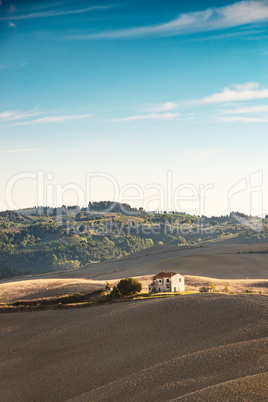 Fields in Tuscany