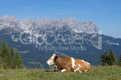 Wilder Kaiser, Tirol, Österreich