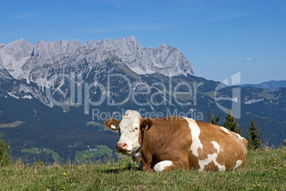 Wilder Kaiser, Tirol, Österreich