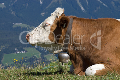 Wilder Kaiser, Tirol, Österreich