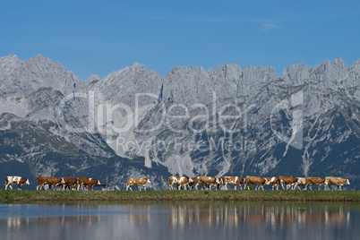 Wilder Kaiser, Tirol, Österreich