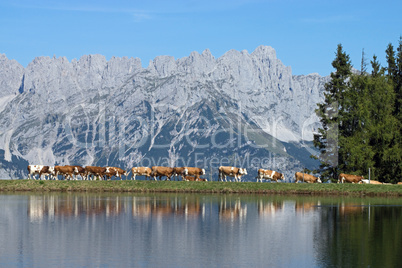 Wilder Kaiser, Tirol, Österreich