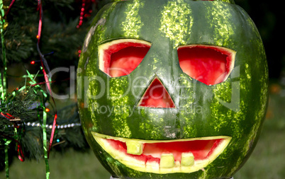 halloweens watermelon under the christmas tree