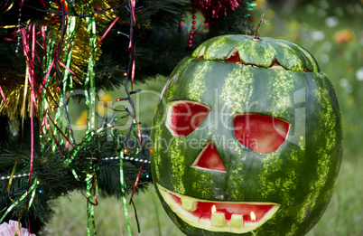 halloweens watermelon under the christmas tree