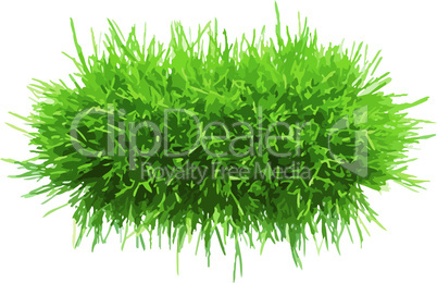 grass_vector_piece_4