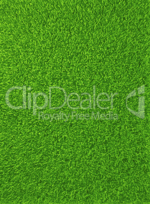 vector_grass_background_1