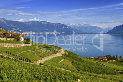 Lavaux region, Vaud, HDR