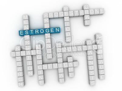 3d image Estrogen word cloud concept