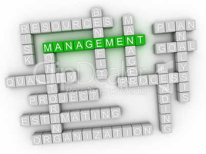 3d image Management word cloud concept