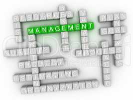 3d image Management word cloud concept